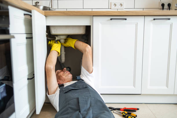 Best Clogged Drain Plumber  in Aberdeen, IN