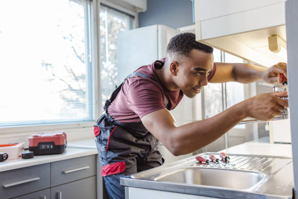 Best Clogged Drain Plumber  in Aberdeen, IN
